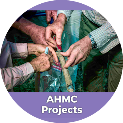 AHMC Projects